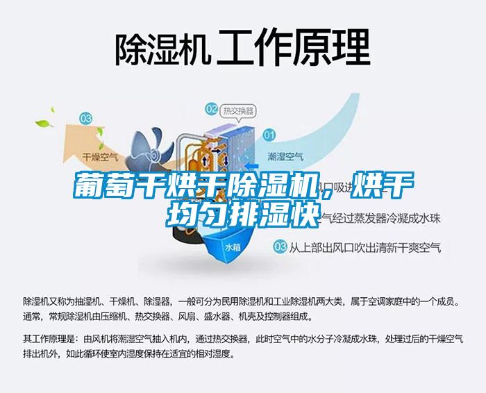 葡萄干烘干粉色视频免费在线观看，烘干均匀排湿快