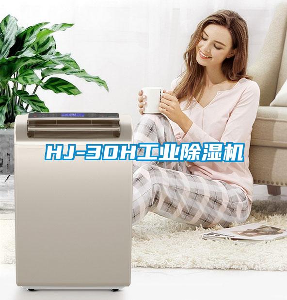 HJ-30H工业粉色视频免费在线观看