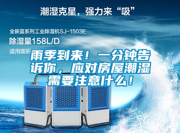 雨季到来！一分钟告诉你，应对房屋潮湿需要注意什么！