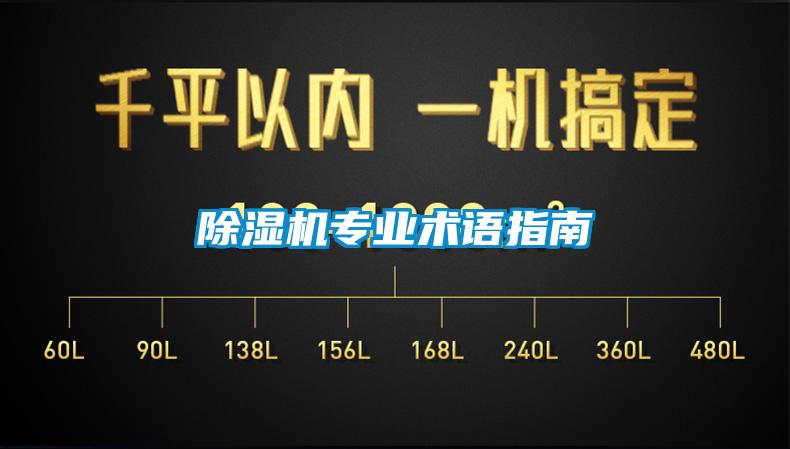 粉色视频免费在线观看专业术语指南