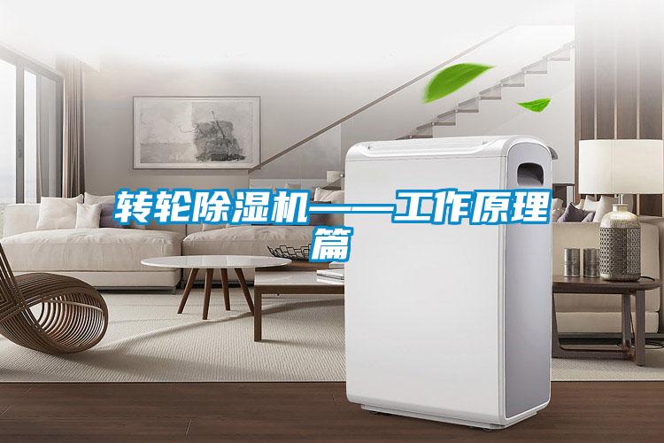 转轮粉色视频免费在线观看——工作原理篇