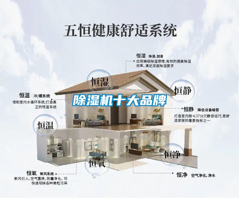 粉色视频免费在线观看十大品牌