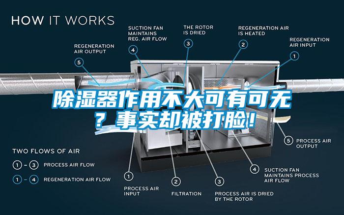 除湿器作用不大可有可无？事实却被打脸！