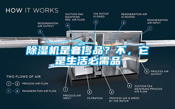 粉色视频免费在线观看是奢侈品？不，它是生活必需品