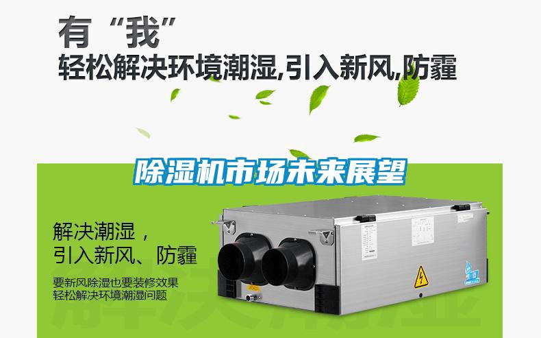 粉色视频免费在线观看市场未来展望