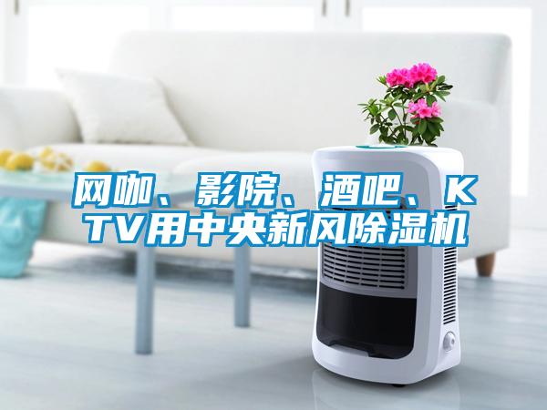 网咖、影院、酒吧、KTV用中央新风粉色视频免费在线观看