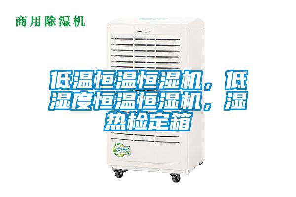 低温恒温恒湿机，低湿度恒温恒湿机，湿热检定箱