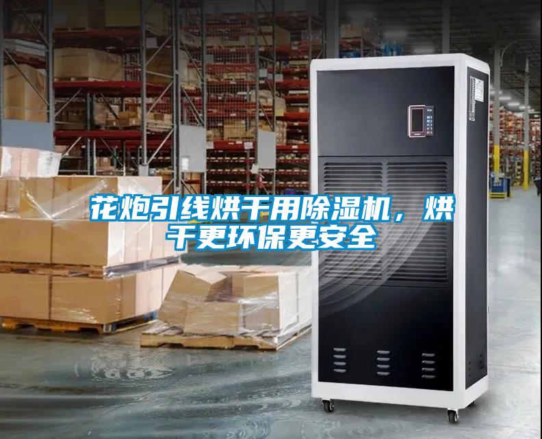 花炮引线烘干用粉色视频免费在线观看，烘干更环保更安全