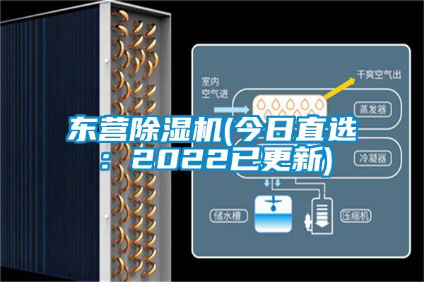东营粉色视频免费在线观看(今日直选：2022已更新)