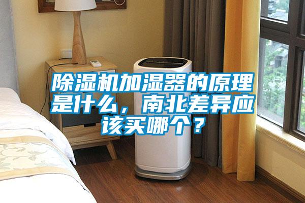 粉色视频免费在线观看加湿器的原理是什么，南北差异应该买哪个？