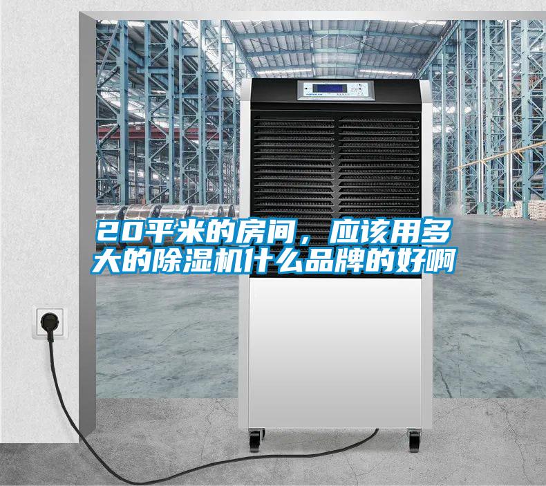 20平米的房间，应该用多大的粉色视频免费在线观看什么品牌的好啊