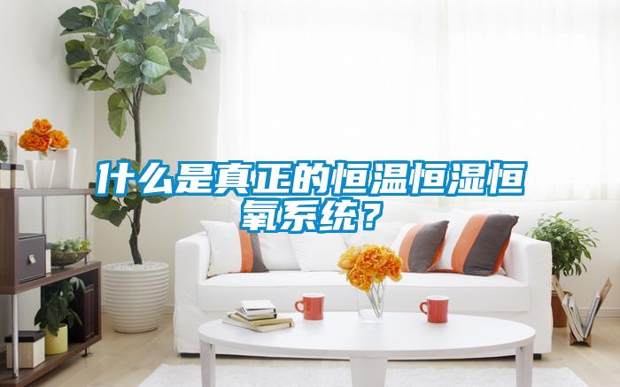 什么是真正的恒温恒湿恒氧系统？