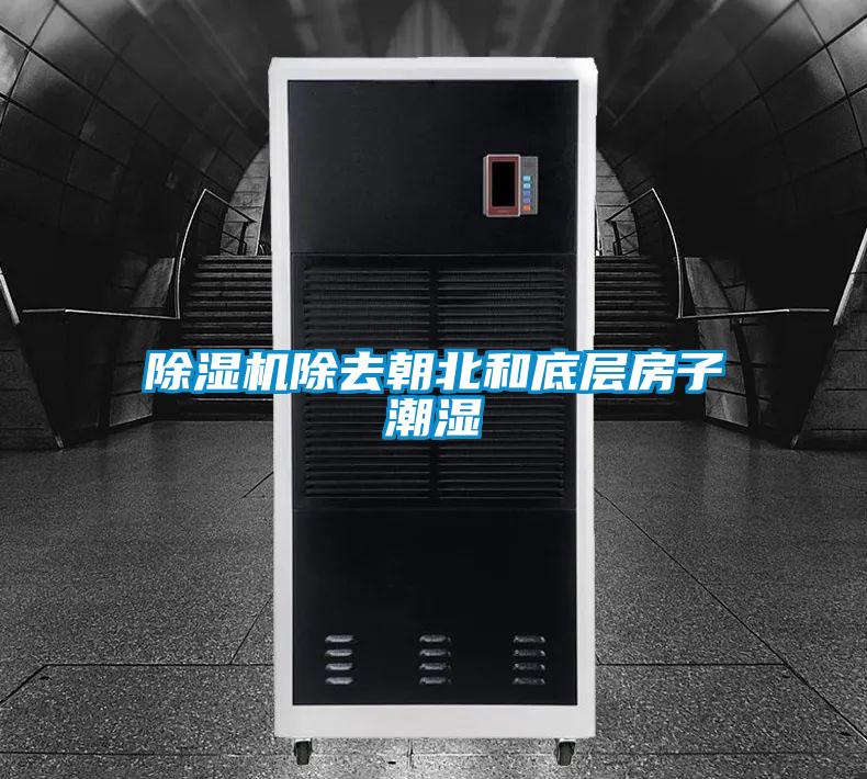 粉色视频免费在线观看除去朝北和底层房子潮湿