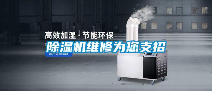 粉色视频免费在线观看维修为您支招