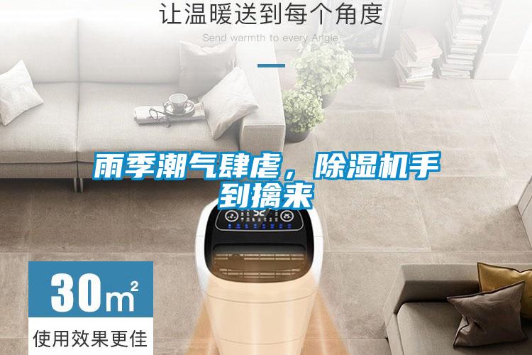 雨季潮气肆虐，粉色视频免费在线观看手到擒来