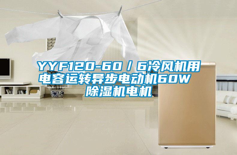 YYF120-60／6冷风机用电容运转异步电动机60W 粉色视频免费在线观看电机