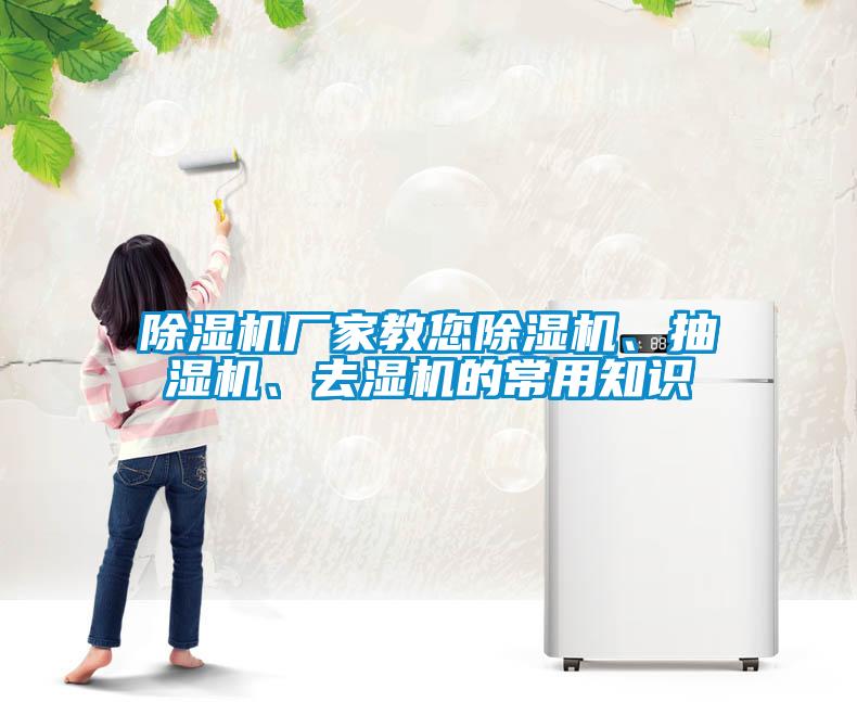 粉色视频免费在线观看厂家教您粉色视频免费在线观看、抽湿机、去湿机的常用知识