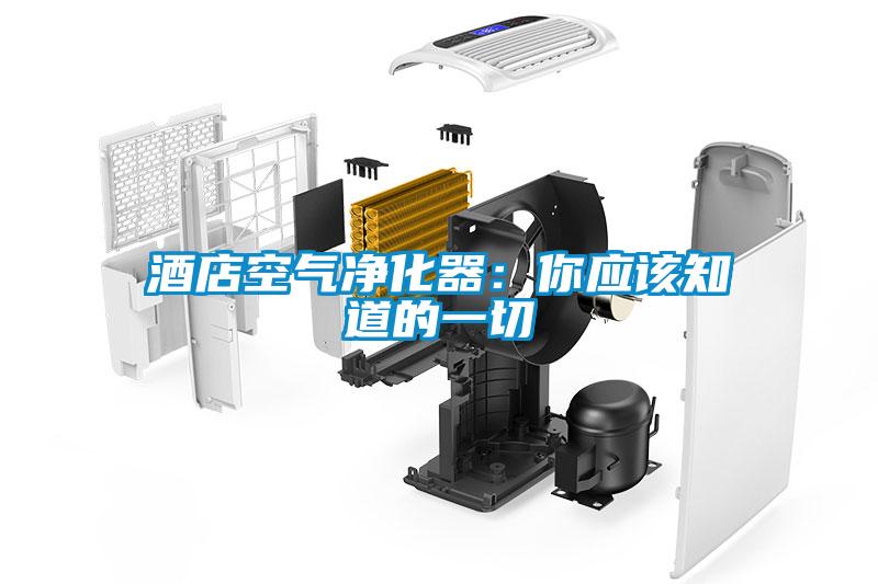 酒店空气净化器：你应该知道的一切