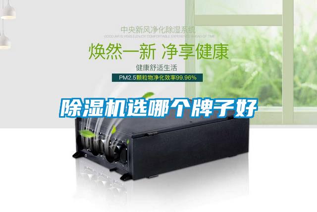粉色视频免费在线观看选哪个牌子好