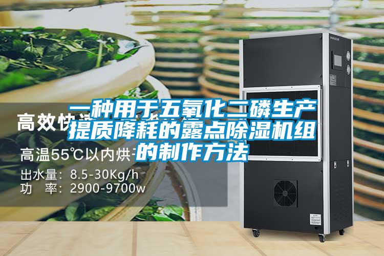 一种用于五氧化二磷生产提质降耗的露点粉色视频免费在线观看组的制作方法