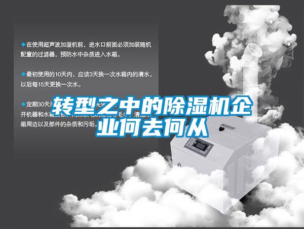转型之中的粉色视频免费在线观看企业何去何从