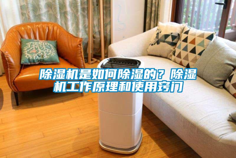 粉色视频免费在线观看是如何除湿的？粉色视频免费在线观看工作原理和使用窍门