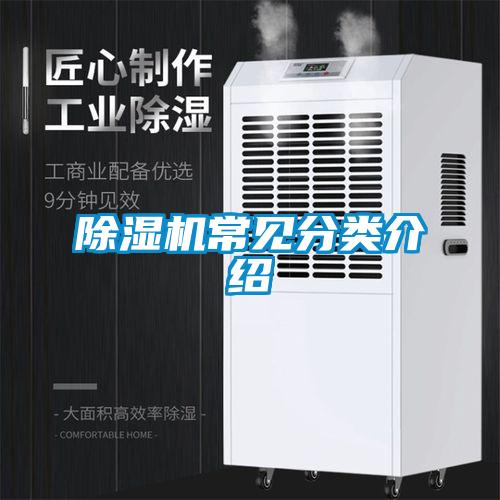 粉色视频免费在线观看常见分类介绍