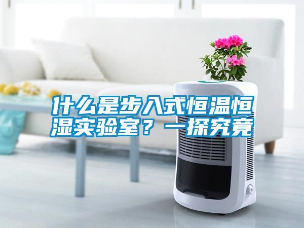 什么是步入式恒温恒湿实验室？一探究竟