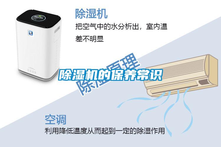 粉色视频免费在线观看的保养常识