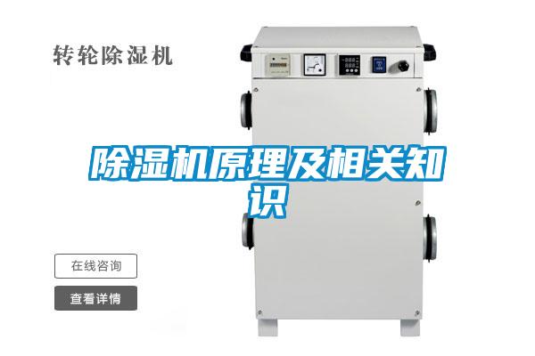 粉色视频免费在线观看原理及相关知识