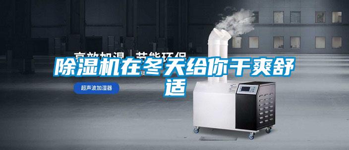粉色视频免费在线观看在冬天给你干爽舒适
