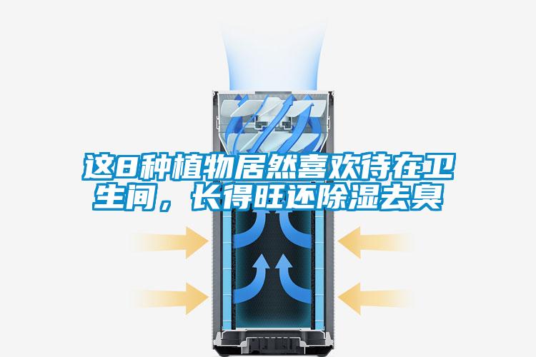 这8种植物居然喜欢待在卫生间，长得旺还除湿去臭