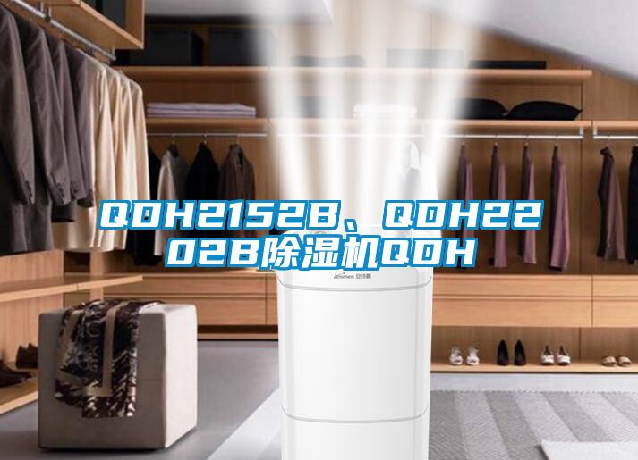 QDH2152B、QDH2202B粉色视频免费在线观看QDH