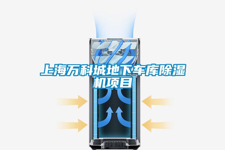 上海万科城地下车库粉色视频免费在线观看项目