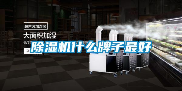 粉色视频免费在线观看什么牌子最好