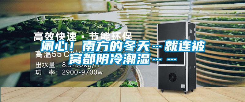 闹心！南方的冬天…就连被窝都阴冷潮湿……