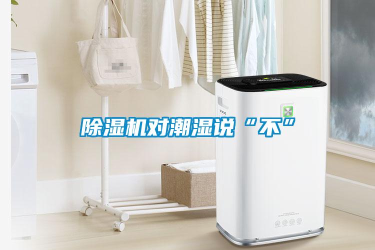 粉色视频免费在线观看对潮湿说“不”