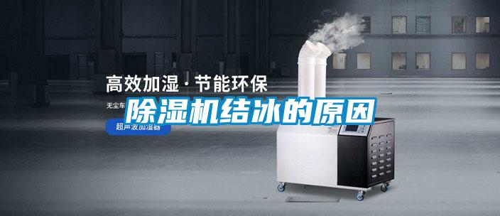 粉色视频免费在线观看结冰的原因