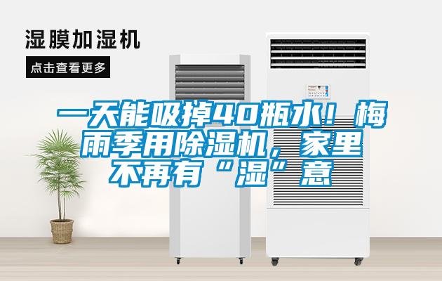 一天能吸掉40瓶水！梅雨季用粉色视频免费在线观看，家里不再有“湿”意