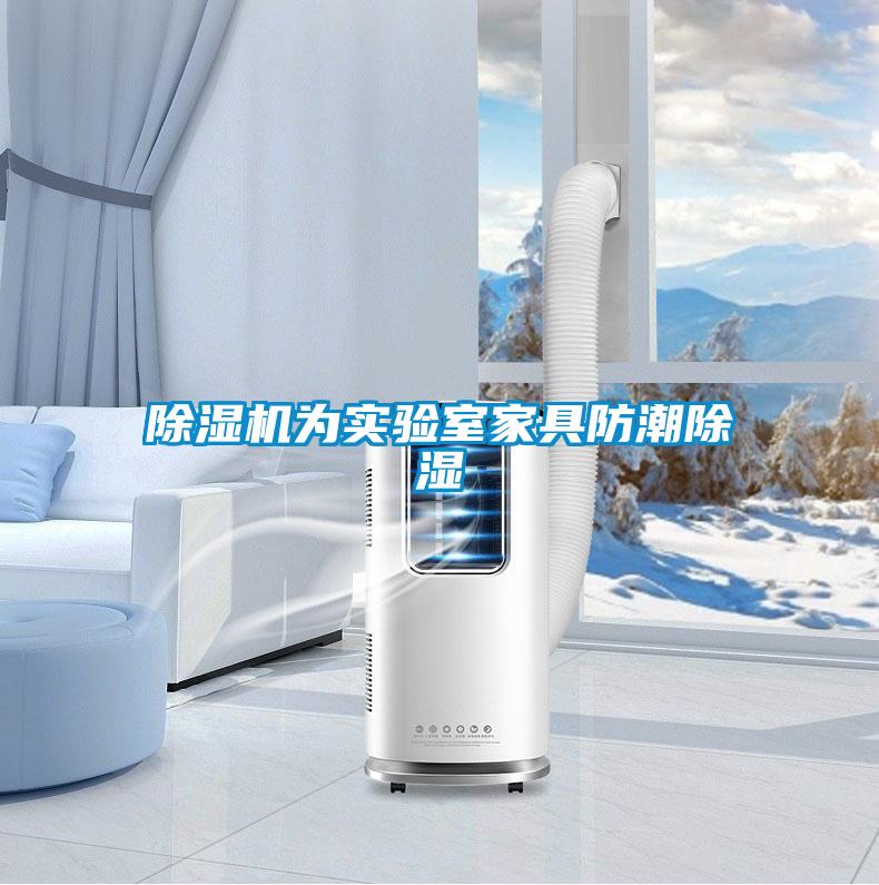 粉色视频免费在线观看为实验室家具防潮除湿