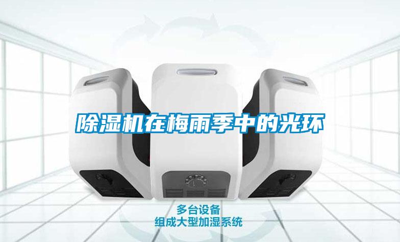 粉色视频免费在线观看在梅雨季中的光环