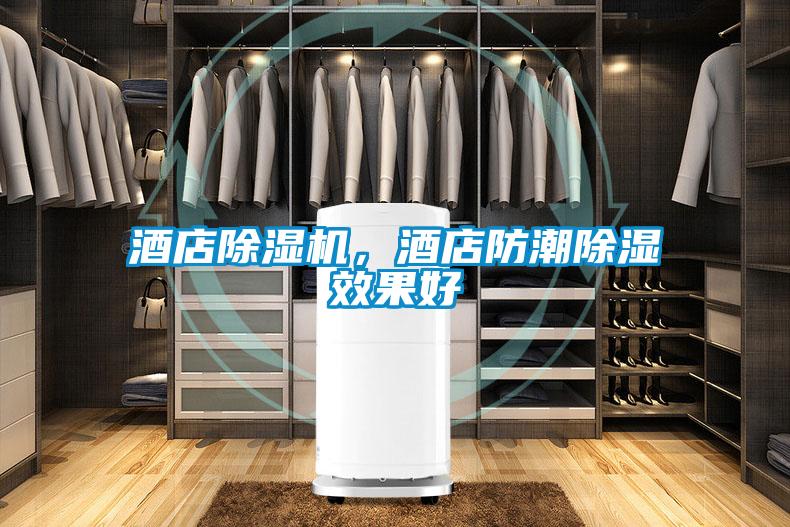 酒店粉色视频免费在线观看，酒店防潮除湿效果好