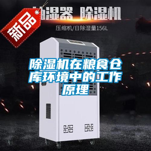 粉色视频免费在线观看在粮食仓库环境中的工作原理