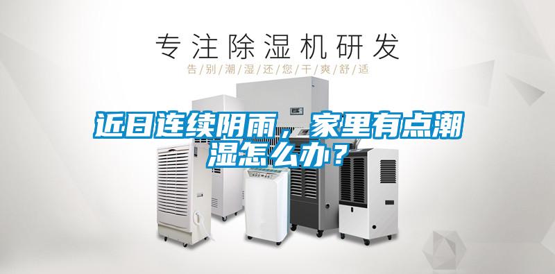 近日连续阴雨，家里有点潮湿怎么办？