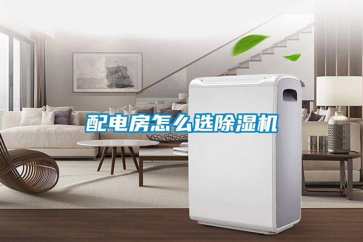 配电房怎么选粉色视频免费在线观看