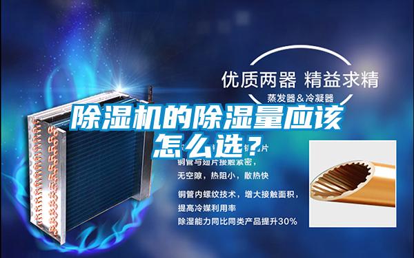 粉色视频免费在线观看的除湿量应该怎么选？
