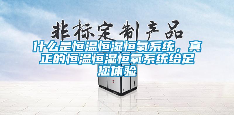 什么是恒温恒湿恒氧系统，真正的恒温恒湿恒氧系统给足您体验