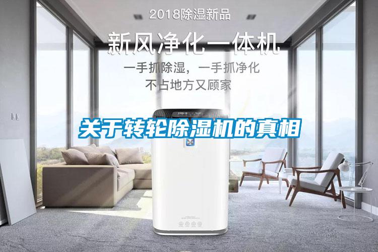 关于转轮粉色视频免费在线观看的真相