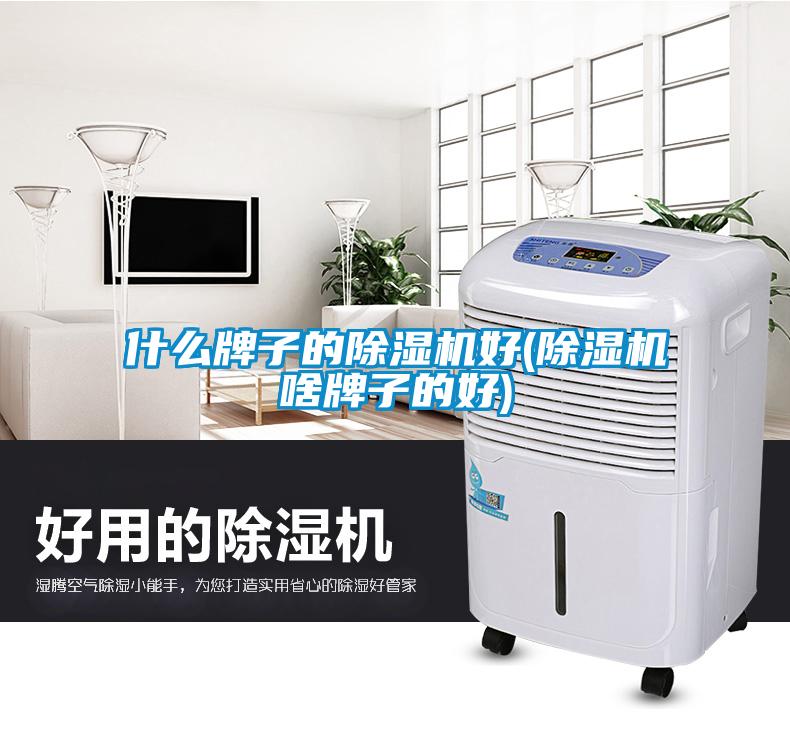 什么牌子的粉色视频免费在线观看好(粉色视频免费在线观看啥牌子的好)