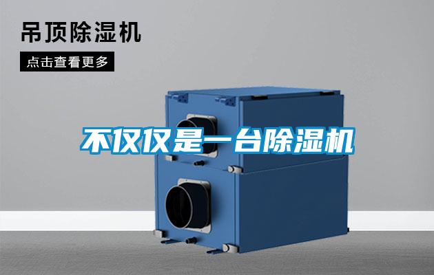 不仅仅是一台粉色视频免费在线观看
